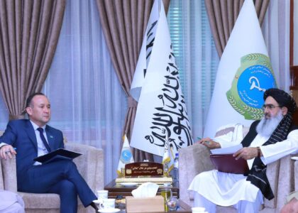 د عامې روغتیا وزیر د قزاقستان له سفیر سره د روغتیا برخه کې پر همکاریو خبرې کړې