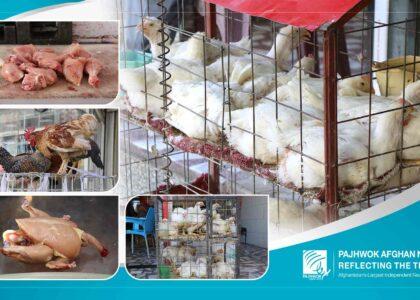 Kabul residents complain about chicken meat price hike