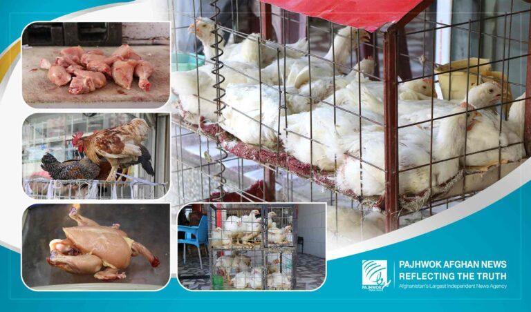 Kabul residents complain about chicken meat price hike