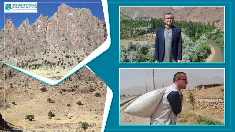 ‘Green Future’ campaign: Daikundi activist’s efforts to restore forests, pastures