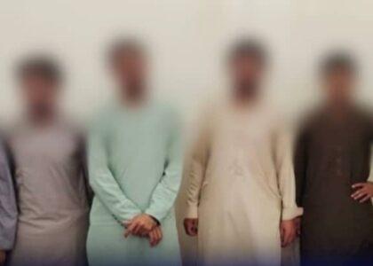 خوست کې شپږ کسان د جوارو پر فصل د زهرجنې دوا پاشلو په تور نیول شوي