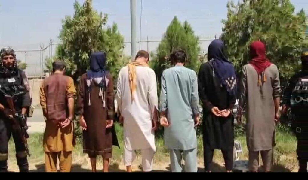 لوګر کې د غلا او قتل په تور یوه شپږکسیزه ډله نیول شوې ده