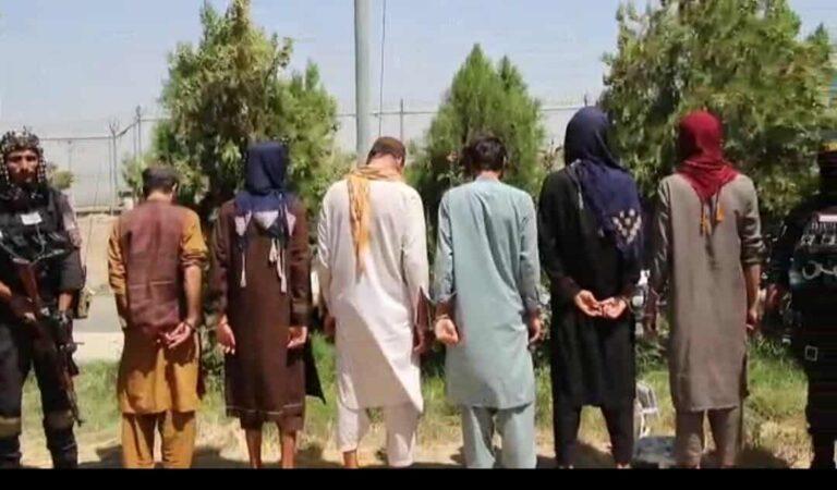 لوګر کې د غلا او قتل په تور یوه شپږکسیزه ډله نیول شوې ده