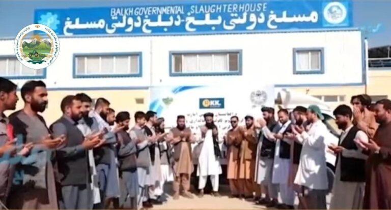 برای نخستین‌ بار صادرات گوشت از افغانستان آغاز شد