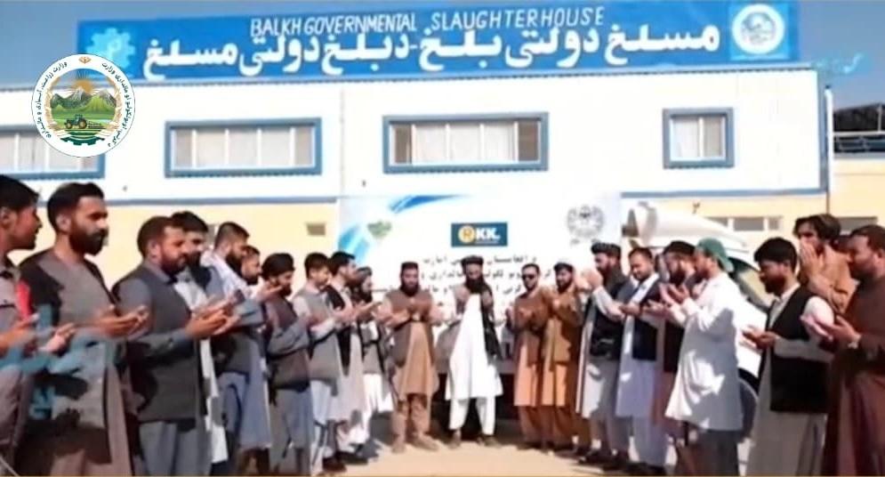 Afghanistan begin trial meat exports