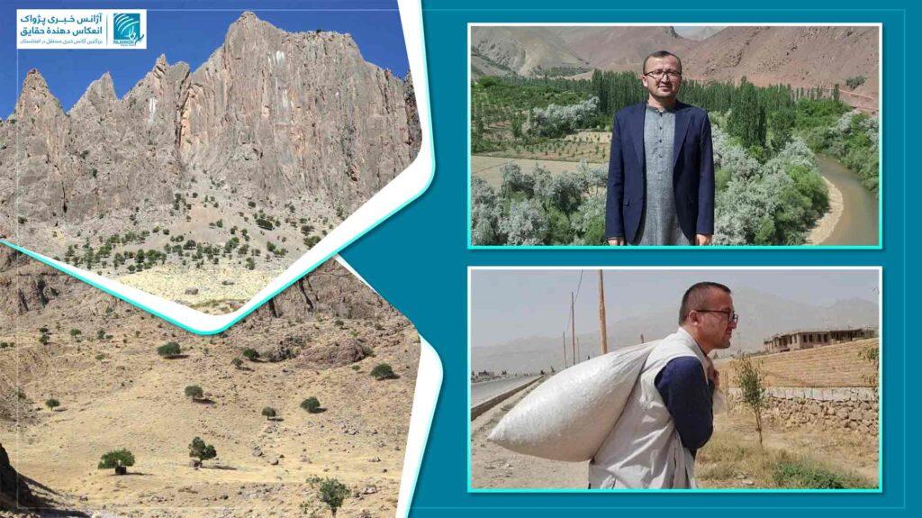 راه‌اندازی کمپاین «آیندۀ سبز»؛ تلاش یک جوان در دایکندی برای احیای جنگلات کوهی و علفچرها