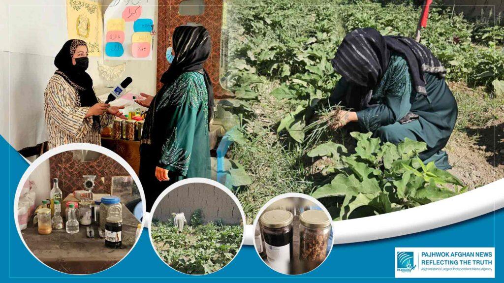 From home garden to ‘agricultural cooperative’: Successful woman in Jawzjan