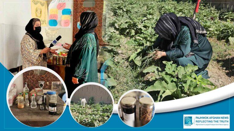 From home garden to ‘agricultural cooperative’: Successful woman in Jawzjan