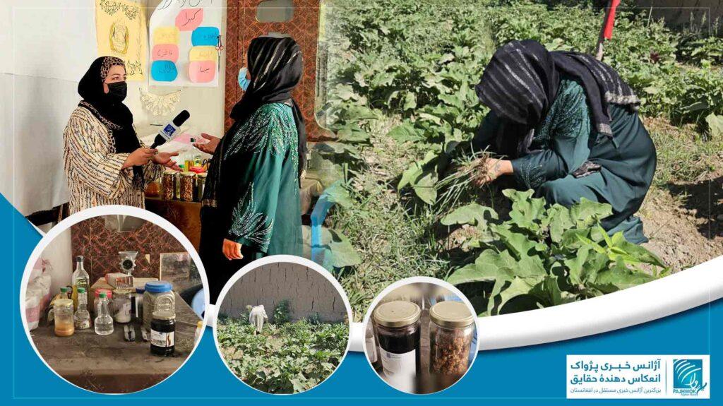 از باغچۀ خانگی تا ایجاد «کوپراتیف زراعتی»؛ روایت یک زن زراعت‌پیشه و کارآفرین موفق در جوزجان