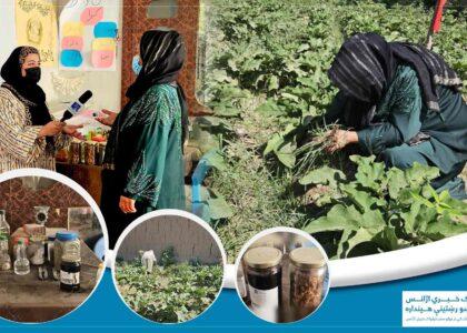 له کورنۍ باغچې د «کرنیز کوپراتیف» تر جوړولو؛ جوزجان کې د یوې کروندګرې او بریالۍ ښځې د ژوند کیسه