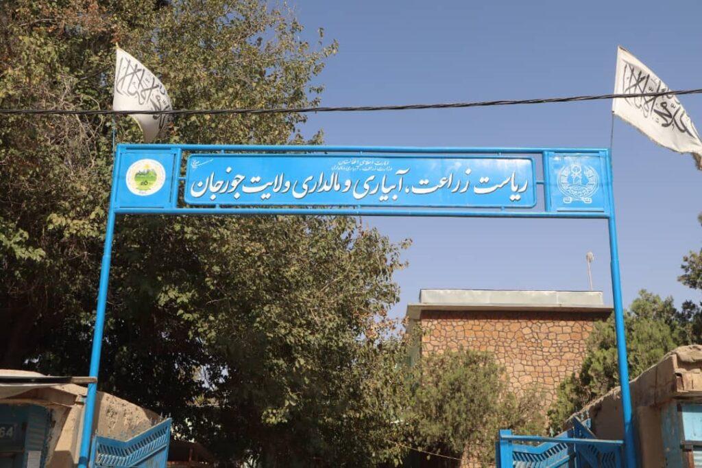 جوزجان کې سلګونو بزګرانو ته د غنمو اصلاح ‌شوی تخم ووېشل شو