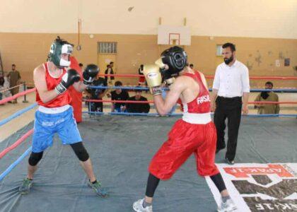 مسابقات انتخابی بوکسینگ در میدان‌وردک برگزار شد