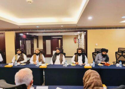 د افغانستان او ترکیې د کورنیو چارو وزارتونو مرستیالانو د سیمه‌ییزې همکارۍ پر پیاوړتیا خبرې وکړې