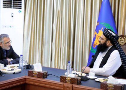 ایران برای حل اقامت غیرقانونی ۲۰۰ هزار ویزۀ کاری به افغان‌ها صادر می‌کند