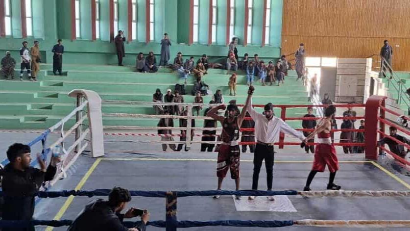 لوګر کې د سوک‌وهنې یو ورځنۍ سیالۍ ترسره شوې