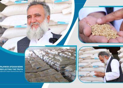 Herat activist: Pajhwok report attracts global support