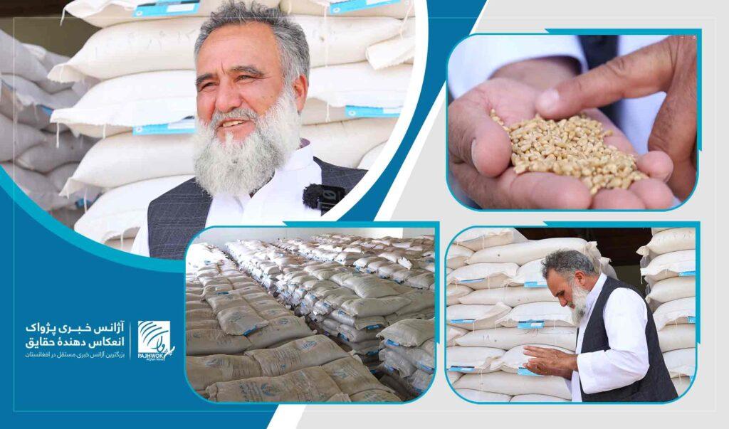 تلاش یک باشندۀ هرات برای مدرن‌سازی زراعت با توزیع تخم‌های اصلاح‌شده