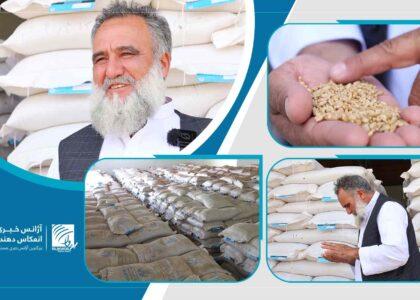 یک فعال عرصۀ زراعت در هرات: گزارش پژواک زمینه‌ساز جلب توجۀ بیشتر نهادهای بین‌المللی به مدرن‌سازی زراعت شد