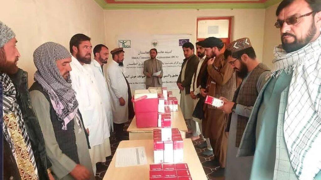 آغاز تطبیق واکسین طاعون و انتروتوکسیمیا بر بیش از ۱۰۰ هزار مواشی در نیمروز و غور