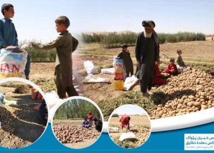 دهاقین در غور خواستار ایجاد سردخانه‌ها اند