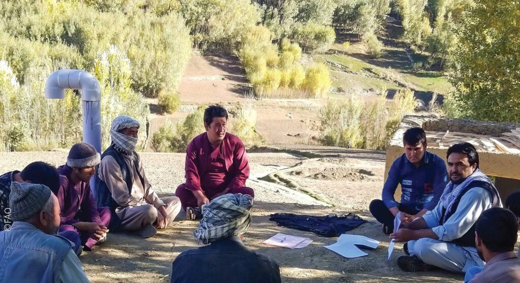 د خوړو او کرنې سازمان په افغانستان کې کچالانو او پیازو ته ۳۶۰ زېرمې جوړې کړې دي