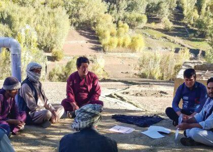 سازمان غذا و زراعت ملل متحد ۳۶۰ انبار کچالو و پیاز در ولایات مختلف ایجاد کرده‌است