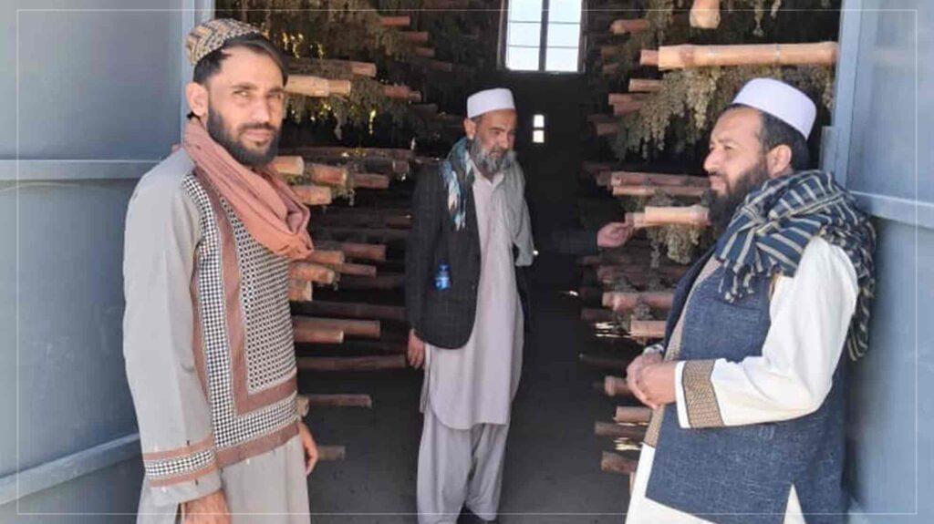 غزني کې د کرنیزو محصولاتو ساتلو لپاره ۲۰ زېرمې او ۳۰ ممیزخونې جوړې شوې