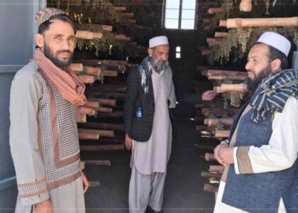 غزني کې د کرنیزو محصولاتو ساتلو لپاره ۲۰ زېرمې او ۳۰ ممیزخونې جوړې شوې