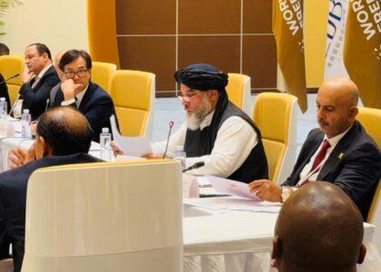 وزیر صنعت و تجارت بر نقش زون‌های آزاد در رشد اقتصاد و دست‌یابی به انکشاف پایدار تاکید کرده‌است