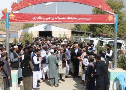 عمري: پر کرنه او مالدارۍ تمرکز مو هېواد د خوراکي توکو له اړه ځان بسیاینې ته نږدې کړی