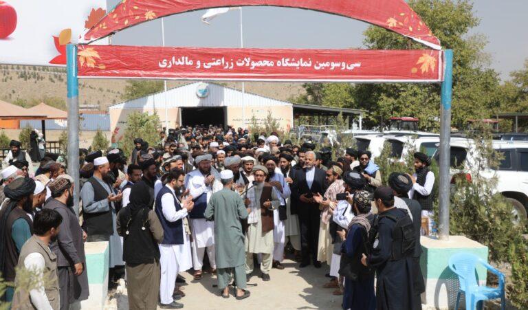 عمري: پر کرنه او مالدارۍ تمرکز مو هېواد د خوراکي توکو له اړه ځان بسیاینې ته نږدې کړی