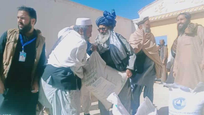 افغانستان کې څه باندې سل زره کروندګرو ته د غنمو د اصلاح شوي تخم او سرې د وېش لړۍ پیل شوه