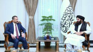 Muttaqi, Turkish envoy discuss bilateral, regional cooperation