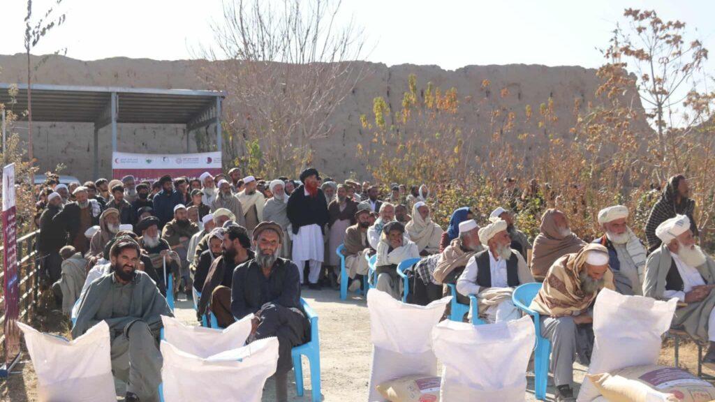 لوګر کې دوه زره بزګرانو ته د غنمو اصلاح شوی تخم او سره ووېشل شول