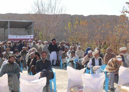 لوګر کې دوه زره بزګرانو ته د غنمو اصلاح شوی تخم او سره ووېشل شول