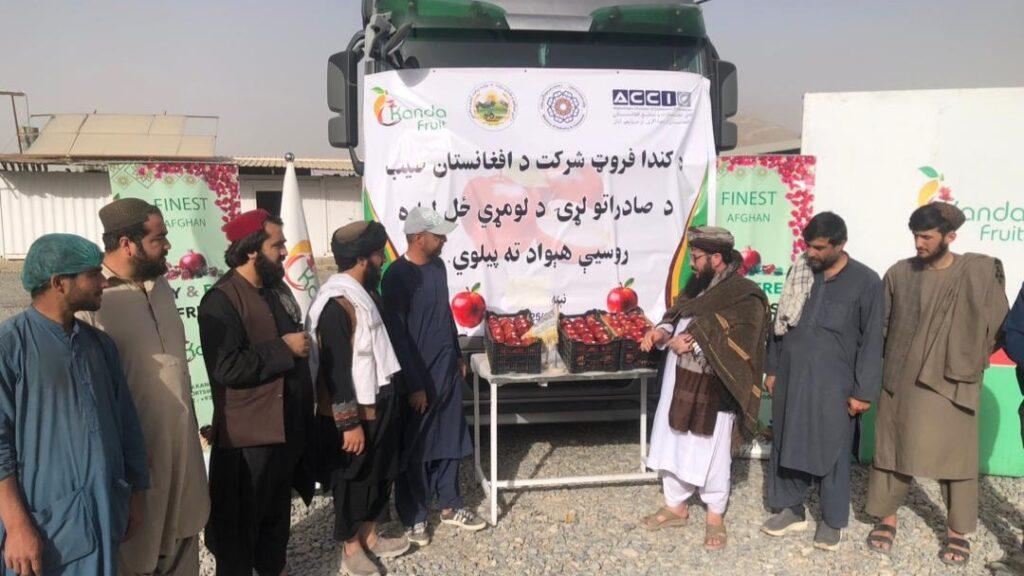 آغاز صادرات سیب از ولایت کندهار به روسیه