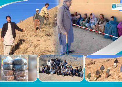 Daikundi “Green Future” drive  gains wide public support