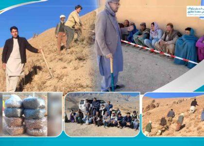 حمایت گستردۀ مردم در دایکندی از کمپاین «آیندۀ سبز» برای حفاظت از محیط زیست