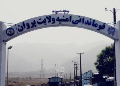 Women among 8arrested in Parwan on murder, theft charges