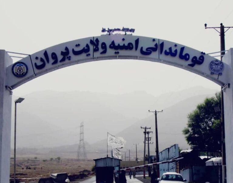پروان کې د قتل او غلا په تور د پنځو ښځو په ګډون اته کسان نیول شوي