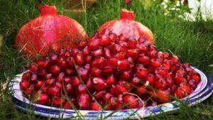 Afghan fresh fruits exports to start via Uzbek air corridor