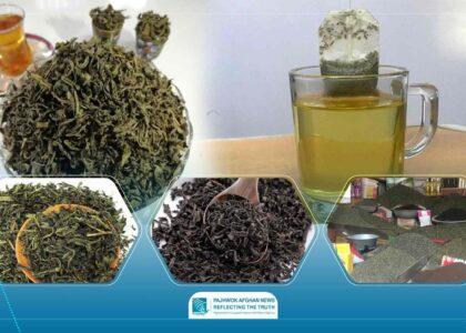 Some imported teas contain artificial chemical dyes: MoPH