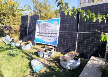 ۱۹۲ جریب باغ‌های گیلاس با سیستم قطره‌ای در فاریاب احداث می‌شود