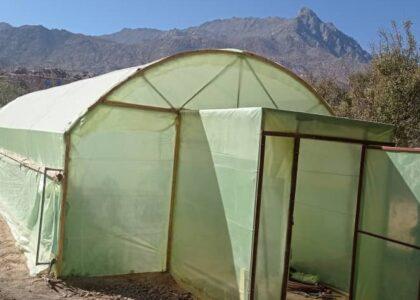 دایکنډي کې ۸۰ شنې خونې جوړې او ګټې اخیستنې ته وسپارل شوې