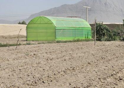 صد سبزخانه در کندهار به بهره‌برداری سپرده شد