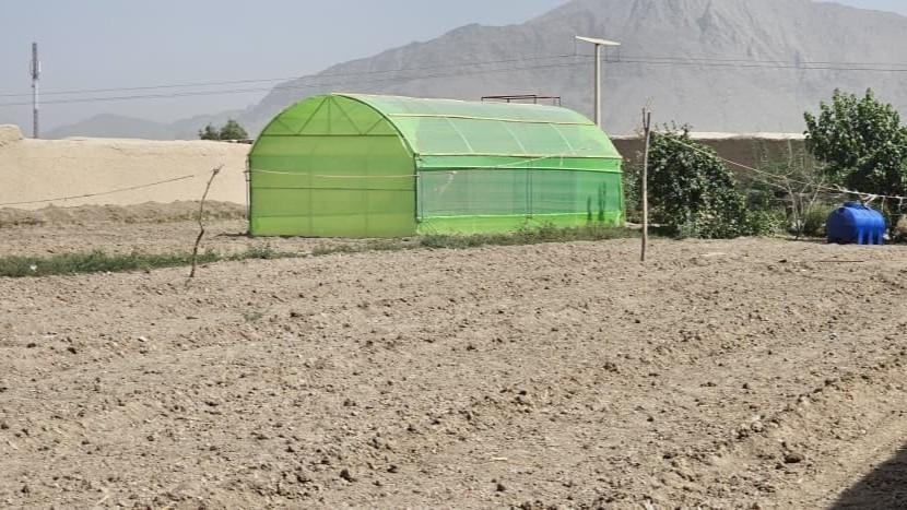 صد سبزخانه در کندهار به بهره‌برداری سپرده شد