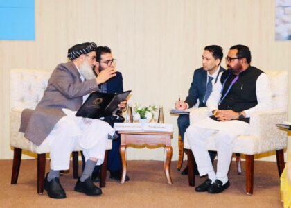 Kabul, New Delhi discuss traditional medicine institute
