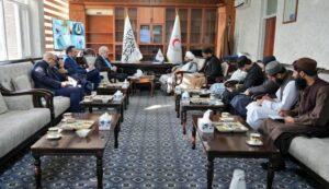 رئیس عمومی هلال‌احمر با نمایندهٔ اتحادیهٔ اروپا در مورد گسترش کمک‌های بشردوستانه گفتگو کرد