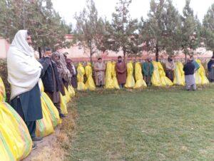 ریاست زراعت فاریاب روند ایجاد باغ‌های گیلاس با سیستم آبیاری قطره‌ای را آغاز کرد