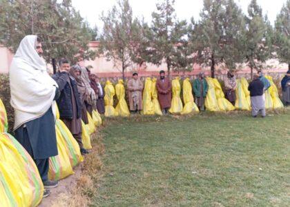 ریاست زراعت فاریاب روند ایجاد باغ‌های گیلاس با سیستم آبیاری قطره‌ای را آغاز کرد